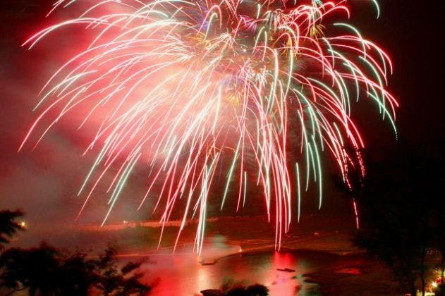 スポットの写真