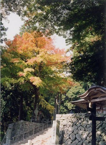 両山寺