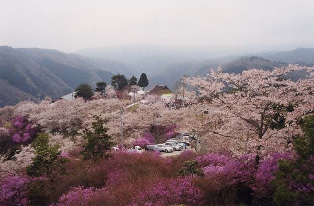 スポットの写真