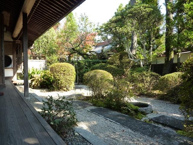 スポットの写真