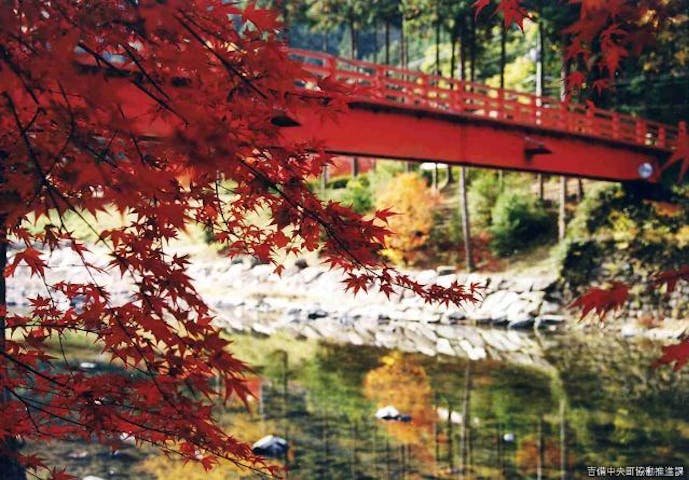 宇甘渓自然公園