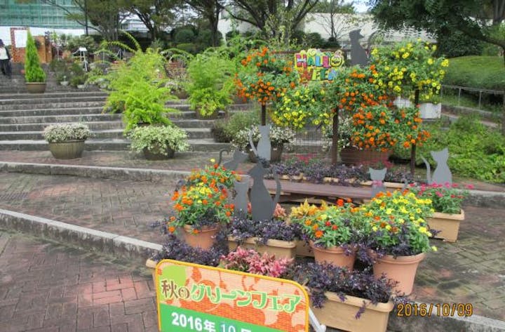 秋のグリーンフェア2021