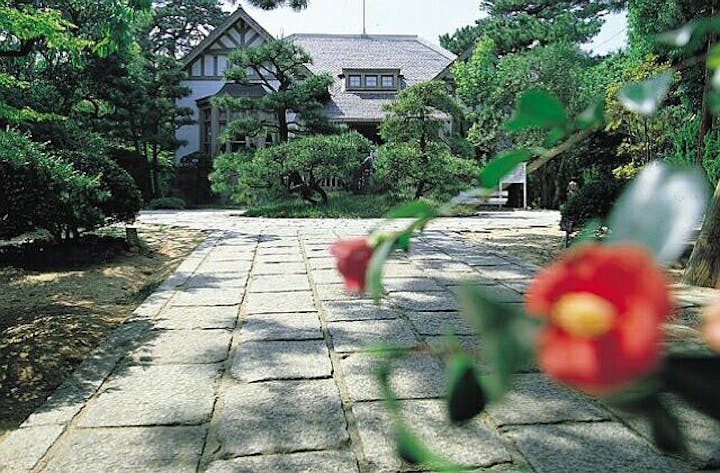 入船山のツバキ