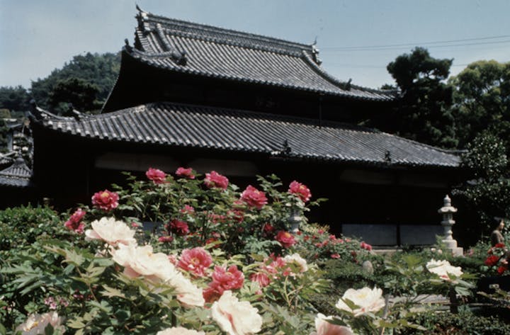 慈観寺のボタン