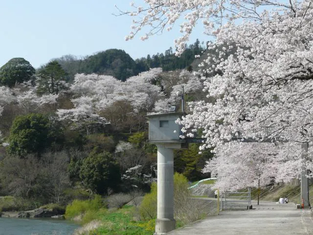尾関山公園 アソビュー