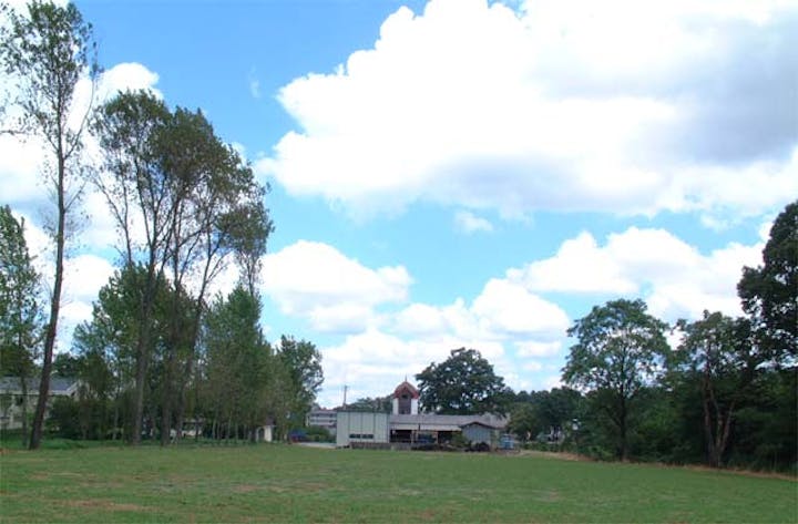 七塚原高原のポプラ並木