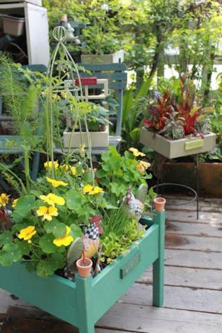 【2021年中止】庄原さとやまオープンガーデン秋