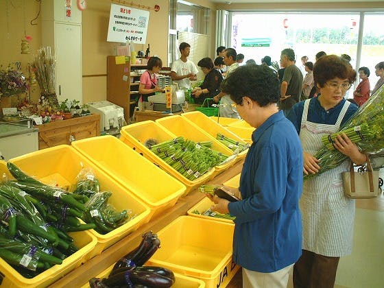 スポットの写真