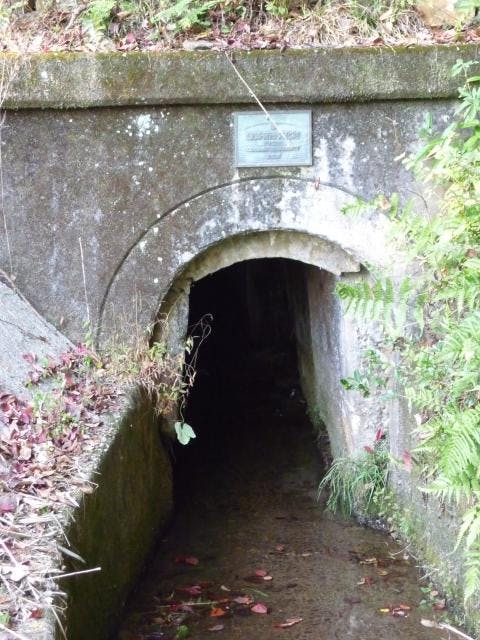 スポットの写真