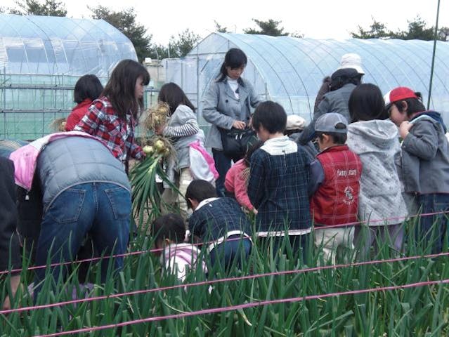 【2020年中止】春の園芸まつり