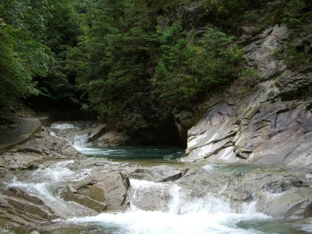 スポットの写真