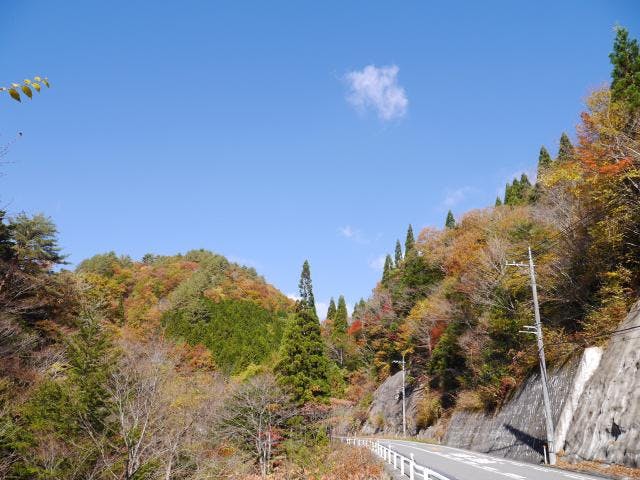 スポットの写真