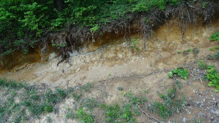 船佐山内逆断層帯