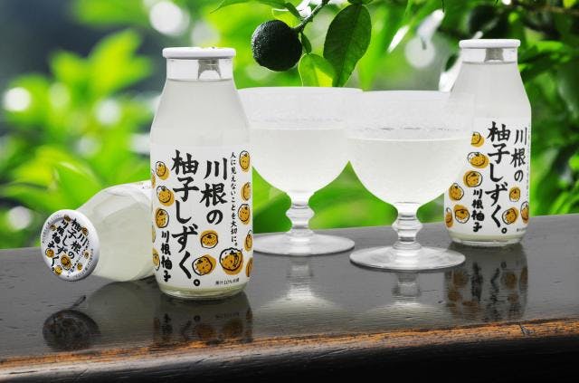 スポットの写真