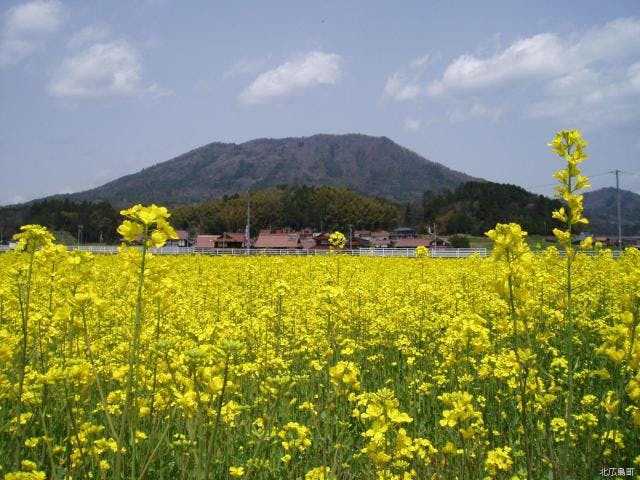 寒曳山遊歩道