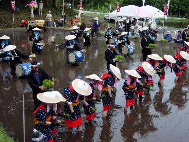 【2021年中止】大花田植