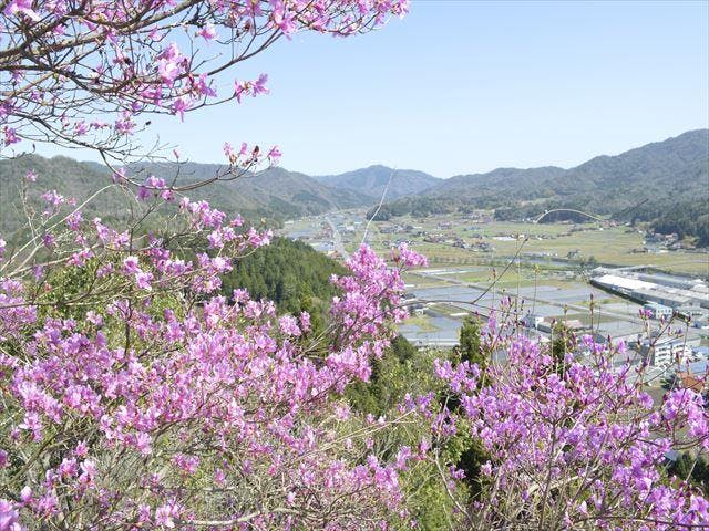 【2021年中止】壬生つつじ祭り