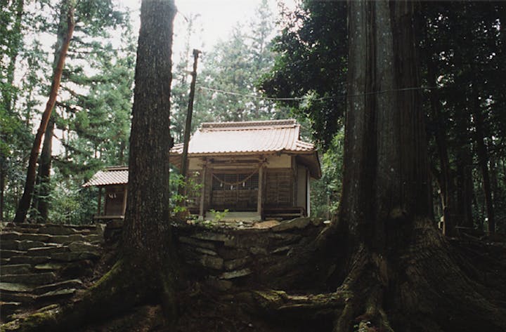 宍戸大明神社叢