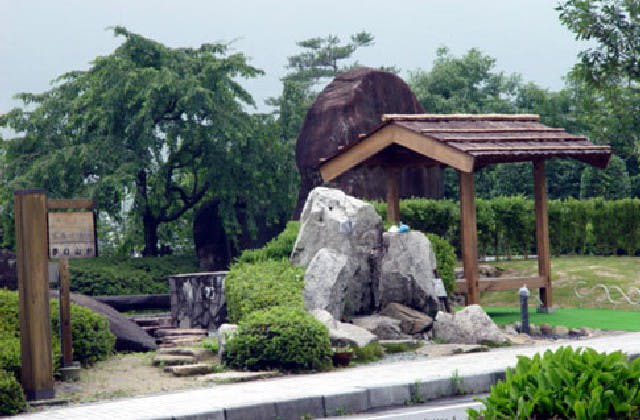 スポットの写真