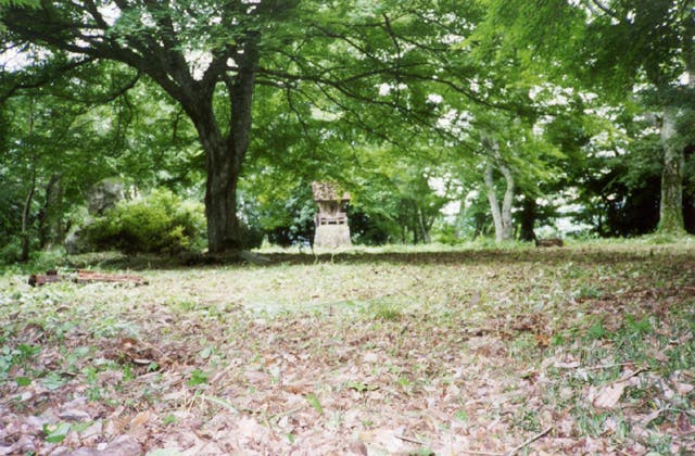 スポットの写真