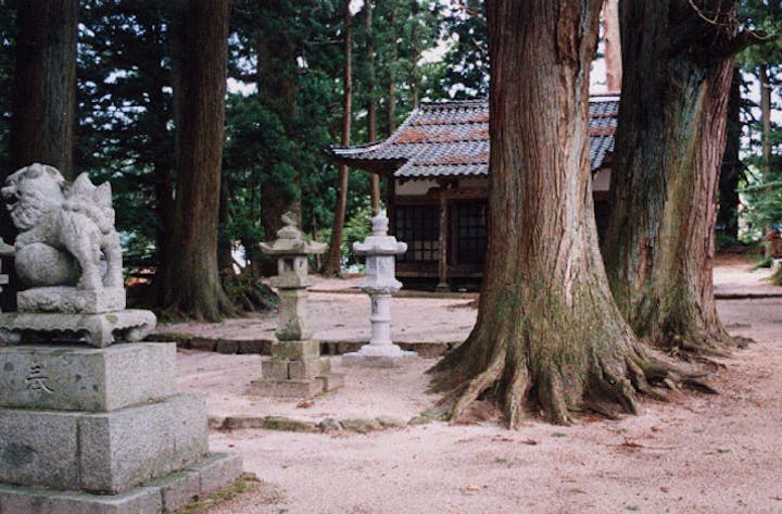 上湯川の八幡神社社叢