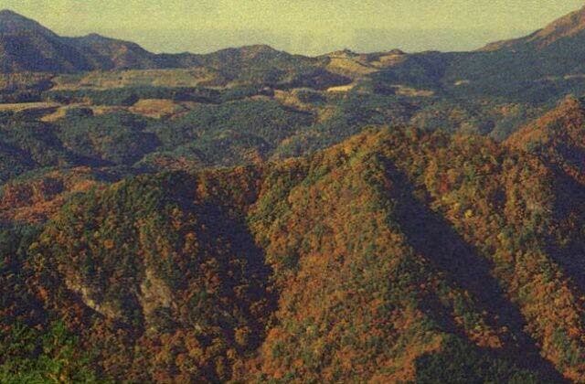 スポットの写真