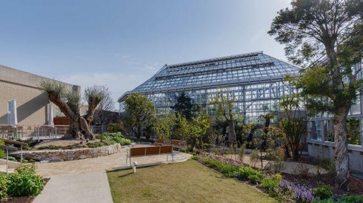 ときわミュージアム（世界を旅する植物館）