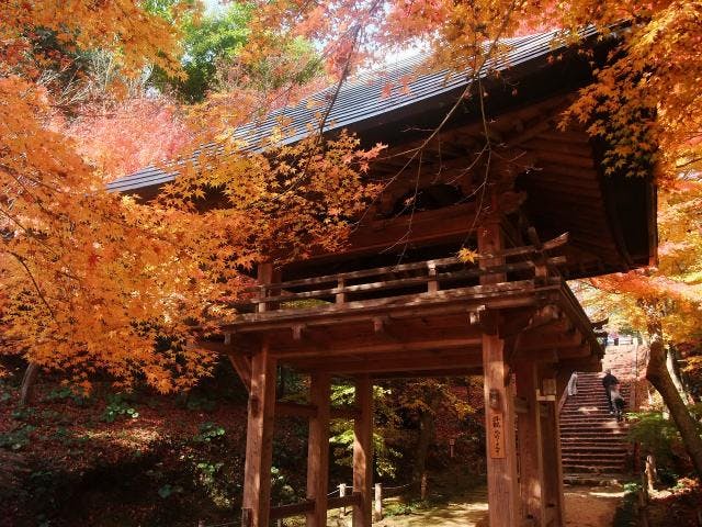 両足寺／もみじ