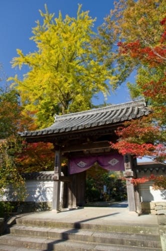 スポットの写真