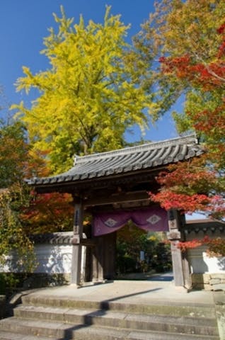 龍福寺／もみじ・いちょう