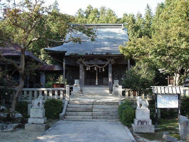 スポットの写真