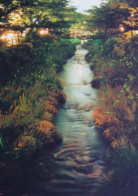 スポットの写真