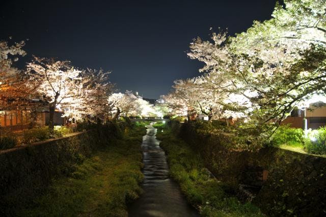 スポットの写真