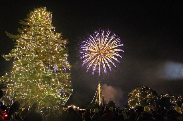 スポットの写真