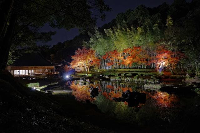 スポットの写真