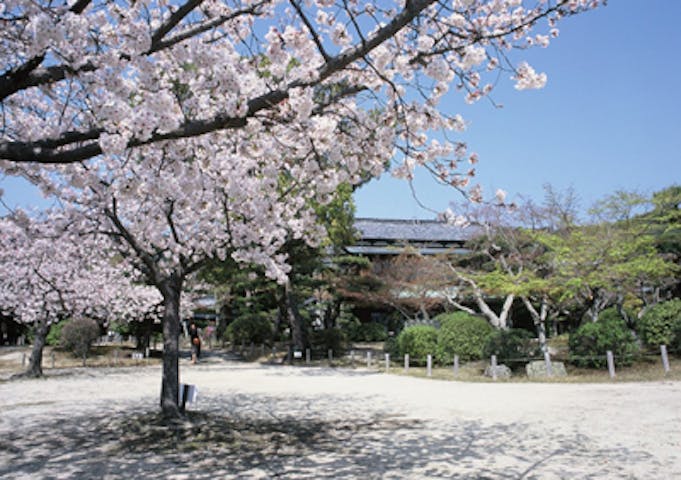 毛利氏庭園／もみじ