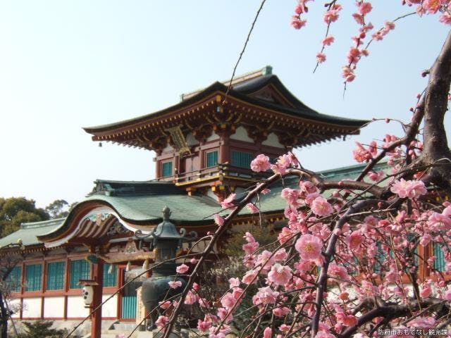 梅まつり（山口県防府市）