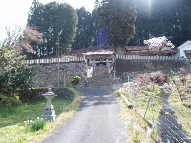 河内神社御神杉一本
