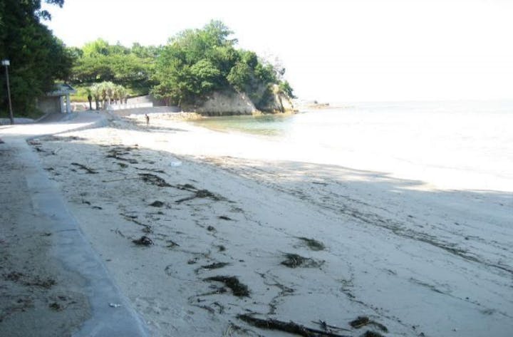 通津美が浦公園