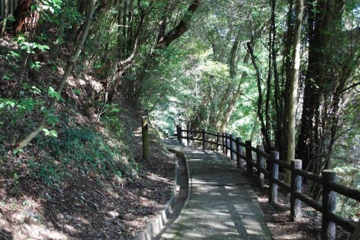 岩国城山自然休養林遊歩道