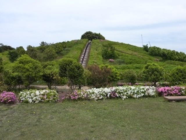 妙見山展望公園／つつじ