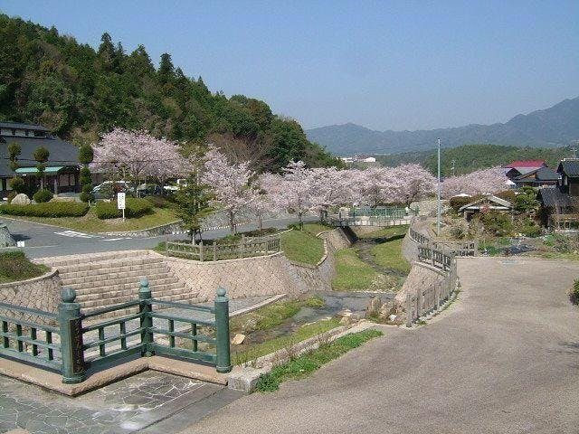 東繕寺川河川公園／さくら