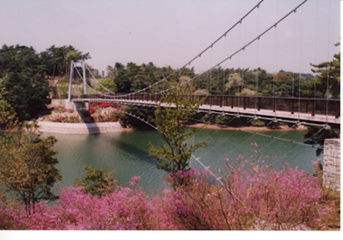 江汐公園／つつじ