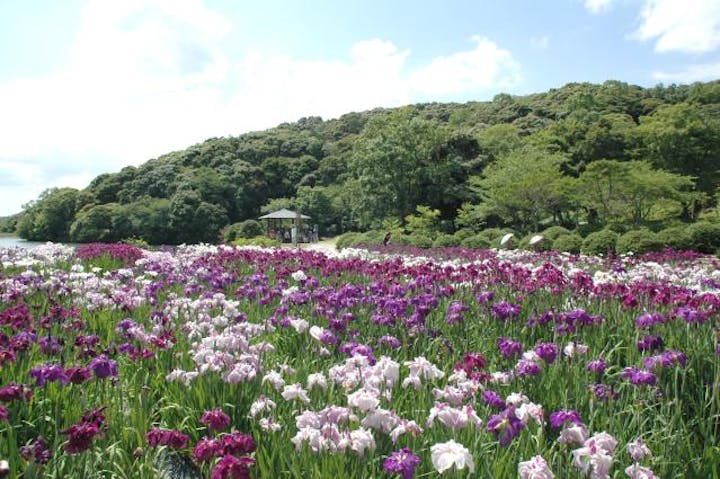 物見山総合公園