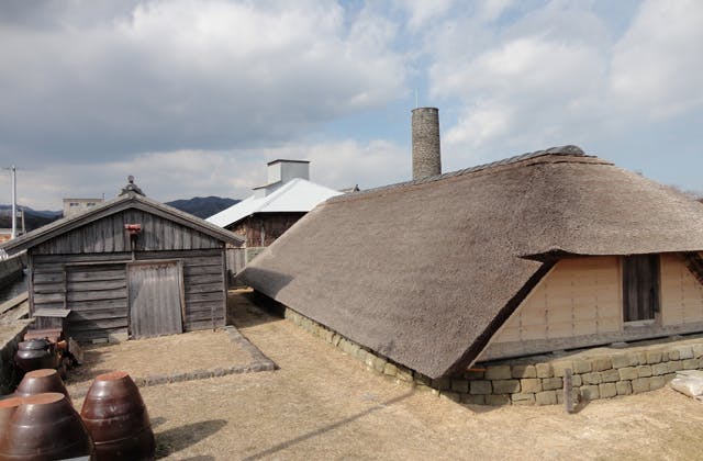 スポットの写真