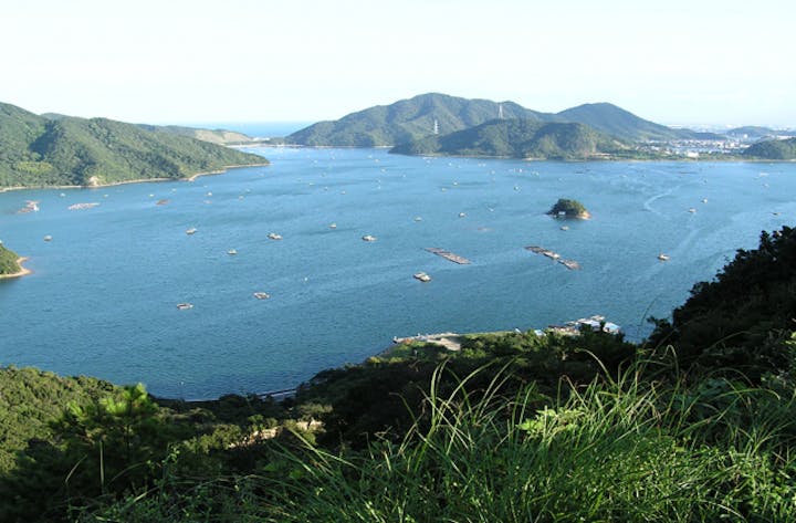 ウチノ海（釣り）