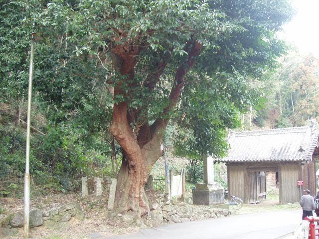 恩山寺のビランジュ