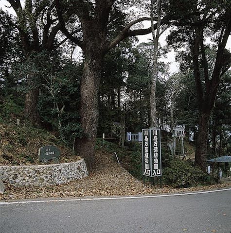 川島万葉植物園