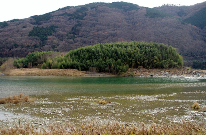 吉野川（中流・四国三郎の郷）