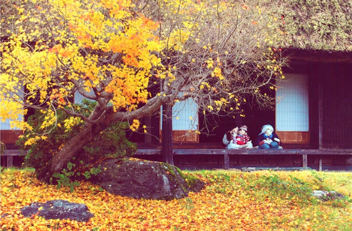 木屋平民俗資料館の紅葉